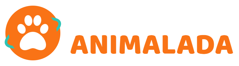 Mundo Pet ANIMALADA
